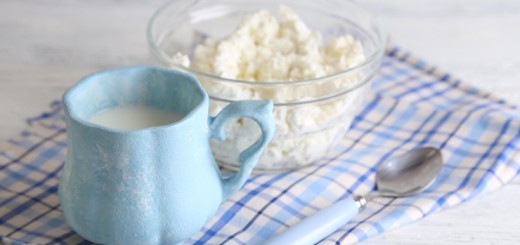 yogur kefir alimentos probioticos