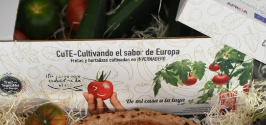 frutas-y-hortalizas-invernaderos-europeos