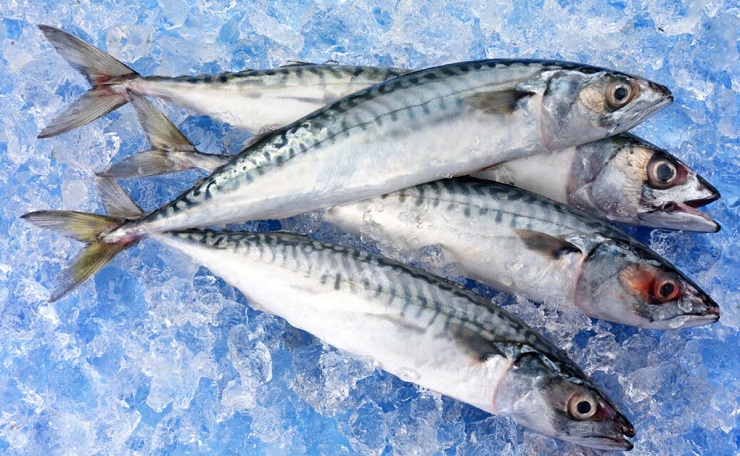 nutrientes-acidos-grasos-esenciales-pescado-azul - copia