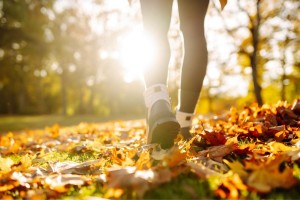 caminar-en-otoño