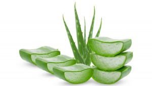remedios-naturales-para-mejorar-las-hemorroides-aloe-vera