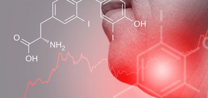 hormonas-dejad-de-arruinarme-la-vida-libro